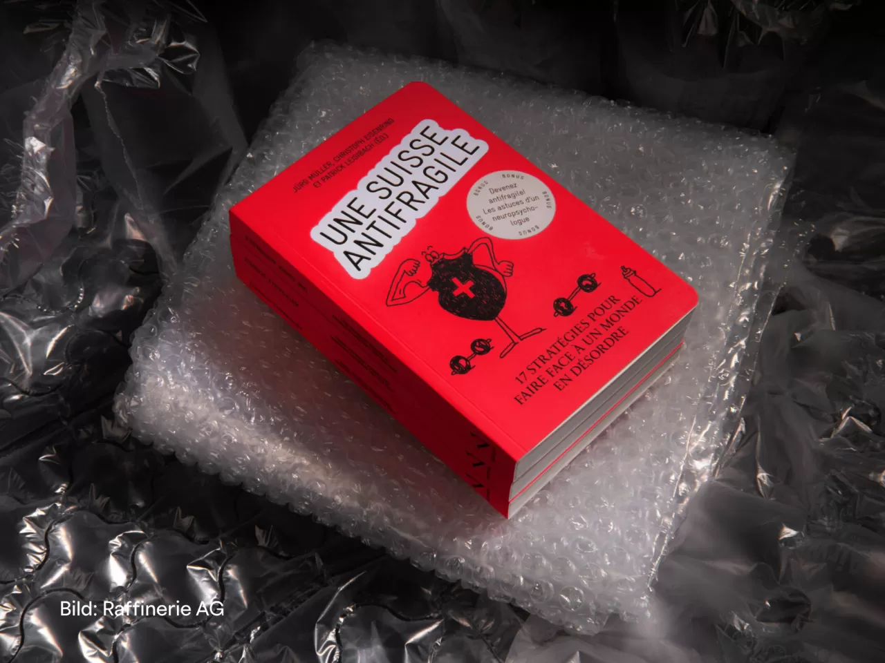 Buch antifragile Schweiz