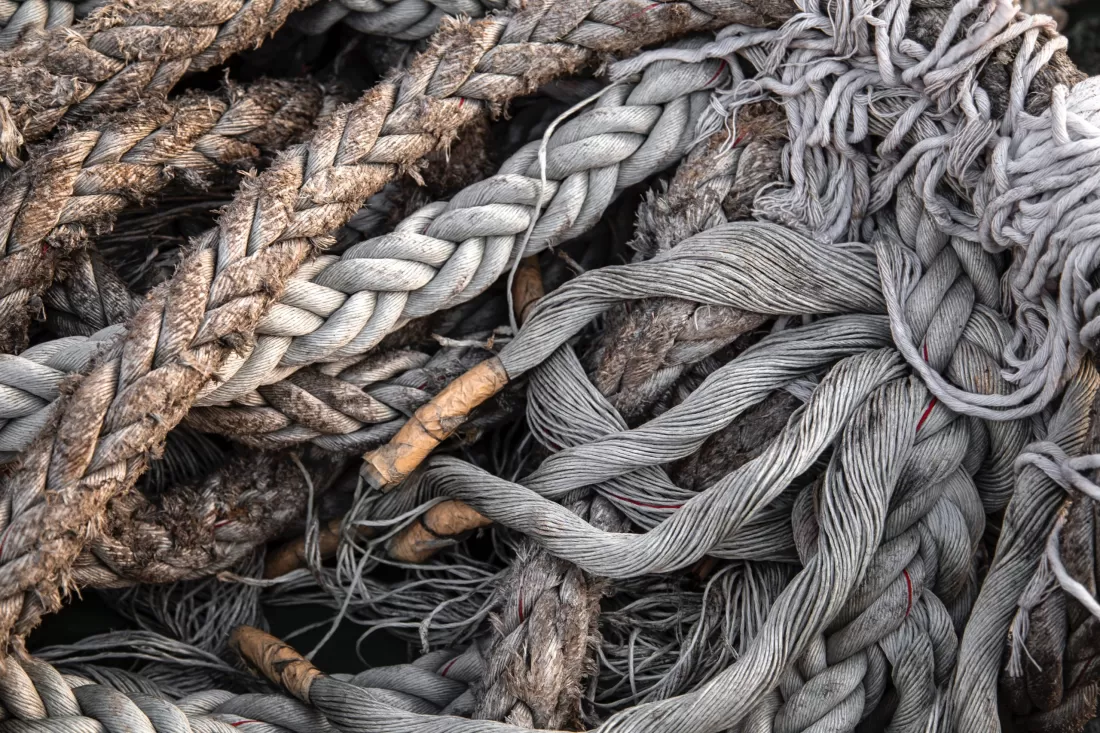 milada-vigerova-XQnW5Lu8Khw-unsplash