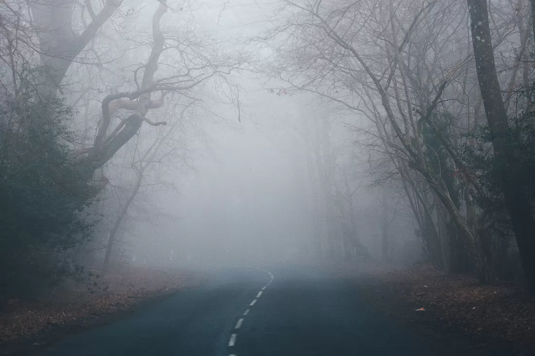 Nebel_annie-spratt-7CME6Wlgrdk-unsplash